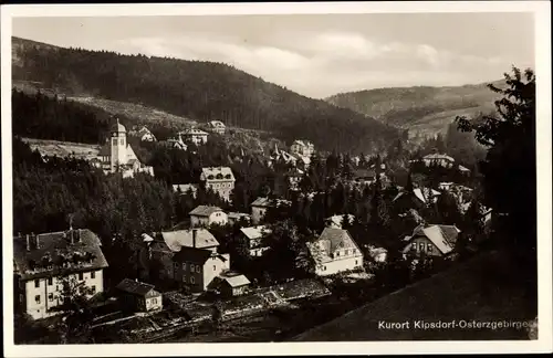 Ak Kipsdorf Altenberg Erzgebirge, Panorama vom Ort