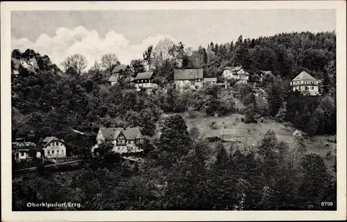 Ak Oberkipsdorf Altenberg im Erzgebirge, Ortsansicht