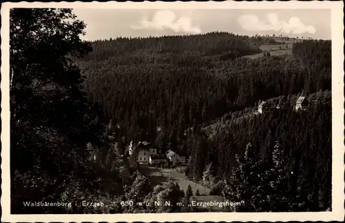 Ak Waldbärenburg Bärenburg Altenberg im Erzgebirge, Erzgebirgsheim, Panorama