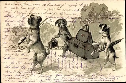 Präge Litho Drei vermenschlichte Hunde auf Reisen mit Koffer