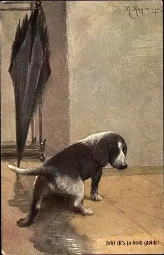 Künstler Ak Kuglmayr, Max, Jetzt ist's ja doch gleich, Hund pinkelt in Wasserpfütze von Regenschirm