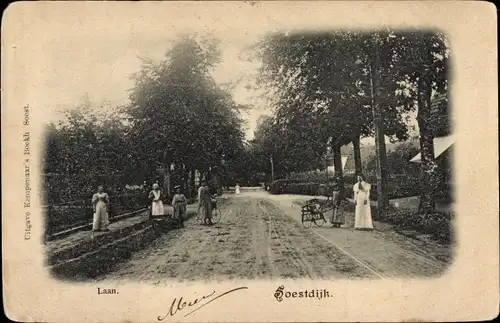 Ak Soestdijk Utrecht Niederlande, Laan