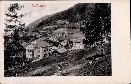 Ak Welschnofen Nova Levante Südtirol, Blick auf den Ort, Häuser, Gasthäuser