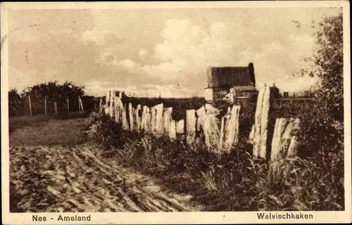 Ak Nes Ameland Friesland Niederlande, Walvischkaken