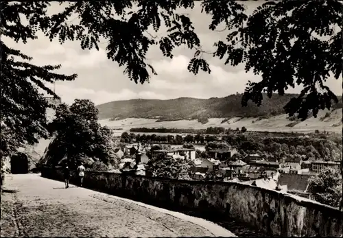 Ak Rudolstadt in Thüringen, Blick vom Schlossaufgang