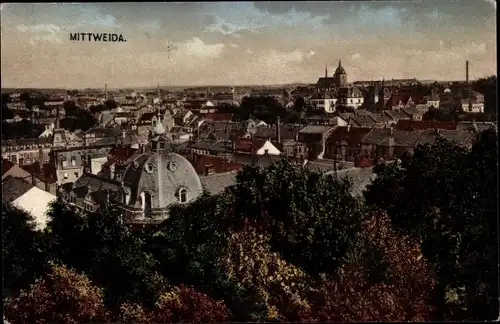 Ak Mittweida in Sachsen, Panorama