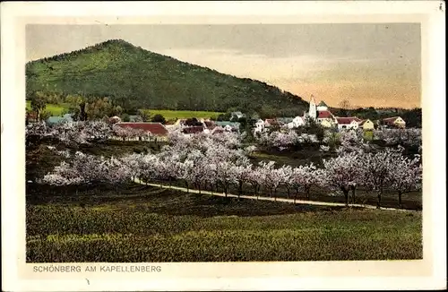 Ak Schönberg am Kapellenberg Bad Brambach im Vogtland, Gesamtansicht, blühende Bäume