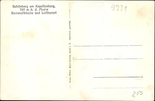 Ak Schönberg am Kapellenberg Bad Brambach im Vogtland, Gesamtansicht, blühende Bäume