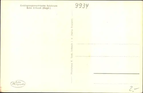 Ak Eubabrunn Erlbach im Vogtland, Blick auf den Ort, Wald, Berge