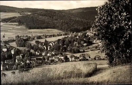 Ak Erlbach im Vogtland, Ortsansicht