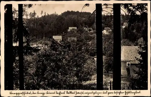 Ak Zwiesel Berggießhübel in Sachsen, Teilansicht