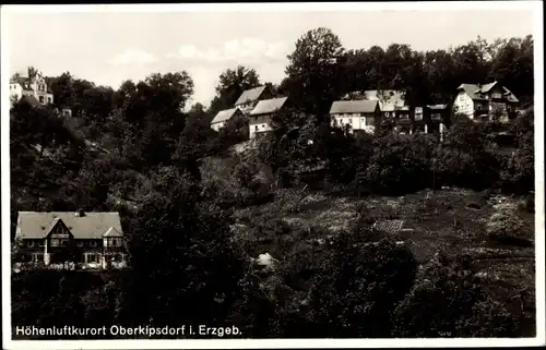 Ak Oberkipsdorf Altenberg im Erzgebirge, Teilansicht, Häuser am Hang