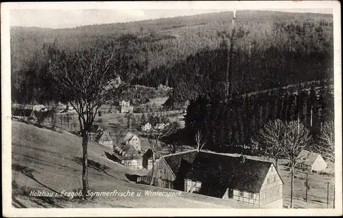 Ak Holzhau Rechenberg Bienenmühle Erzgebirge, Ortsansicht