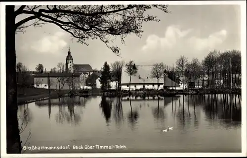 Ak Großhartmannsdorf im Erzgebirge, Blick über Timmel-Teich