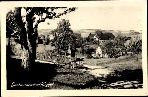 Foto Ak Hartmannsdorf Reichenau im Erzgebirge, Teilansicht