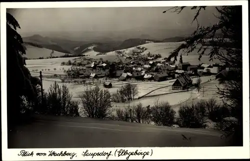 Ak Saupsdorf Sebnitz Sachsen, Blick vom Wachberg, Winter