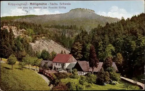 Ak Reinhardtsdorf Schöna in Sachsen, Krippengrund Rölligsmühle