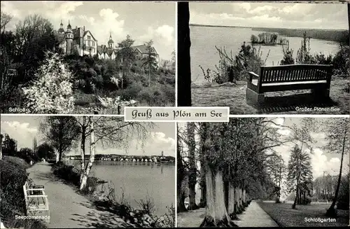 Ak Plön am See Holstein, Schloss, Großer Plöner See, Seepromenade, Schlossgarten
