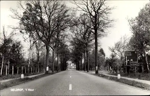 Ak Geldrop Nordbrabant Niederlande, 't Hout