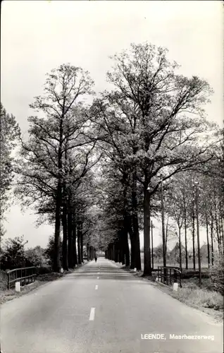 Ak Leende Nordbrabant Niederlande, Maarheezerweg