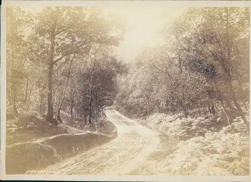 Kabinett Foto Schottland, The Pass of the Trossachs, 1894