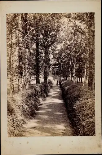 Kabinett Foto Ryde Isle of Wight England, The Lovers Walk, 1896