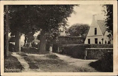 Ak Nes Ameland Friesland Niederlande, Dorfpartie