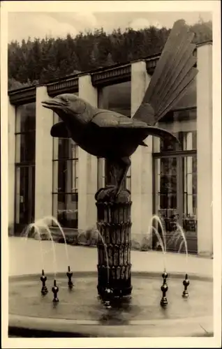 Ak Bad Elster im Vogtland, Springbrunnen