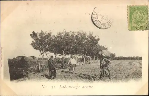 Ak Labourage arabe, Maghreb, Landwirtschaft, Bauern