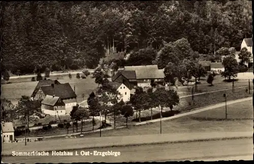 Ak Holzhau Rechenberg Bienenmühle Erzgebirge, Ortsansicht