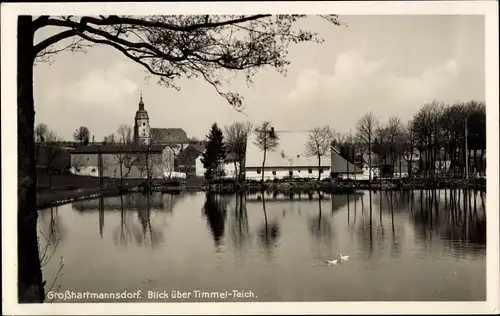 Ak Großhartmannsdorf im Erzgebirge, Blick über Timmel-Teich