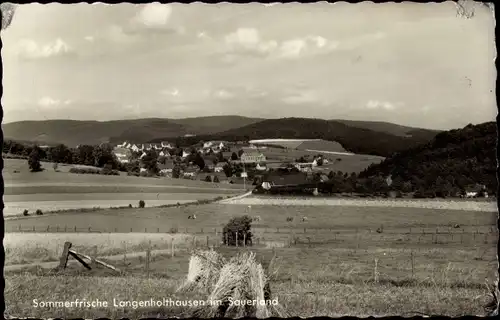 Ak Langenholthausen Balve im Sauerland, Panorama, Feld, Cafe und Pension Grote