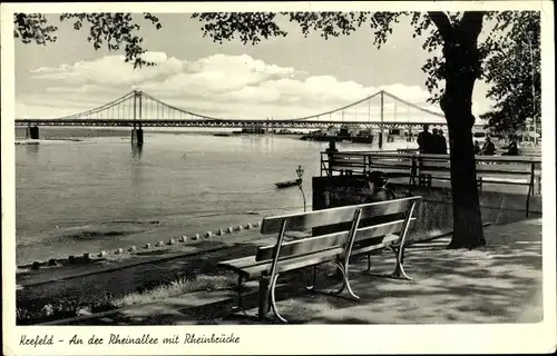 Ak Krefeld am Niederrhein, An der Rheinallee mit Rheinbrücke