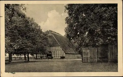 Ak Elmshorn? Gehöft, Stall, Scheune, Kühe
