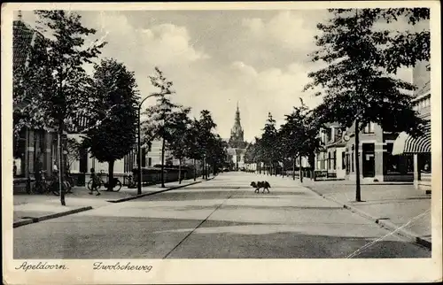 Ak Apeldoorn Gelderland, Zwolscheweg