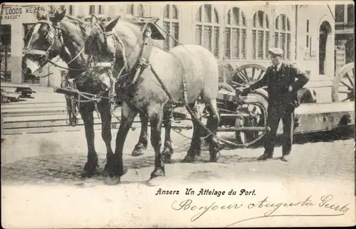 Ak Anvers Antwerpen Flandern, Un Attelage du Port