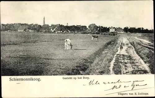 Ak Hollum Ameland Friesland Niederlande, Gezicht op het Dorp