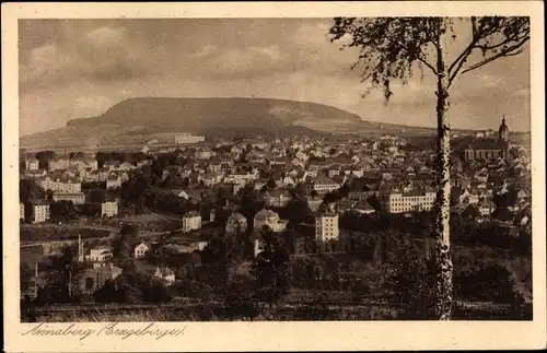 Ak Annaberg Buchholz im Erzgebirge, Panorama