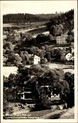 Ak Eubabrunn Erlbach im Vogtland, Ortsansicht
