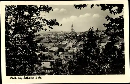 Ak Roßwein in Sachsen, Blick auf den Ort