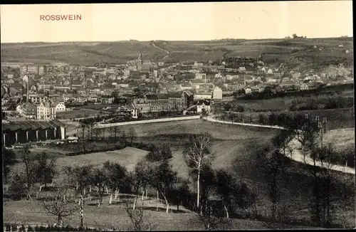 Ak Roßwein in Sachsen, Panorama