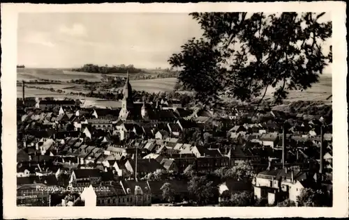 Ak Roßwein in Sachsen, Panorama