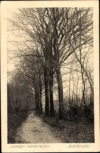 Ak Viersen in Nordrhein Westfalen, Hoher Busch, Buchenweg