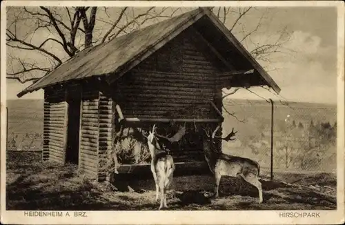 Ak Heidenheim an der Brenz Baden Württemberg, Hirschpark