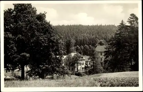 Ak Plauen im Vogtland, Pfaffenmühle, Wald