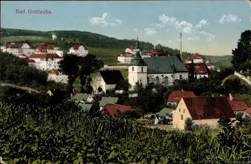 Ak Bad Gottleuba in Sachsen, Teilansicht