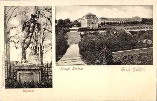 Ak Großsedlitz Heidenau in Sachsen, Herkules Statue, Königliches Schloss