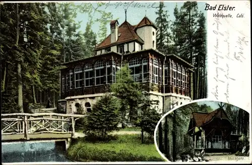 Ak Bad Elster im Vogtland, Waldquelle, Cafe, Musikhalle