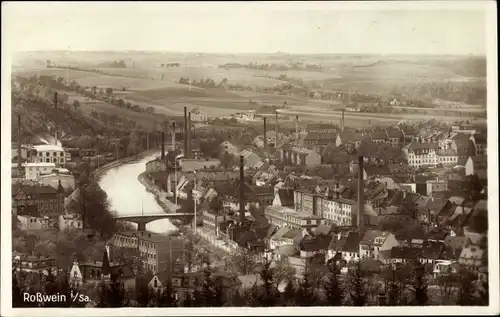 Ak Roßwein in Sachsen, Panorama