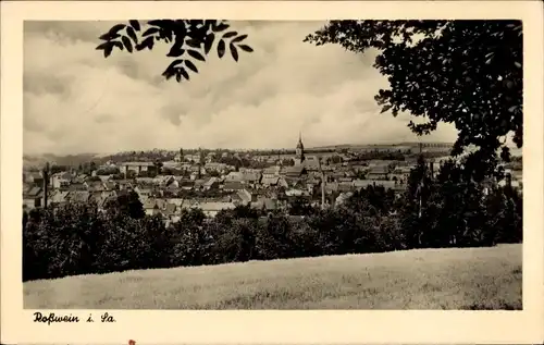 Ak Roßwein in Sachsen, Panorama